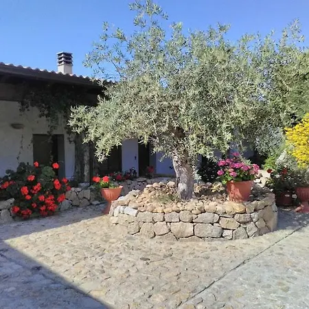 B&B Sa Mendula-2