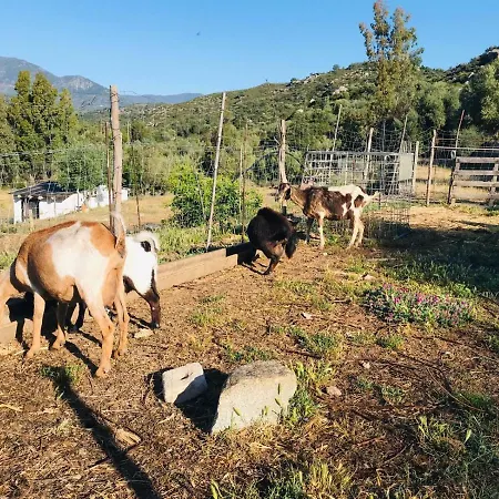 S'Imbragu Farm B&B-3