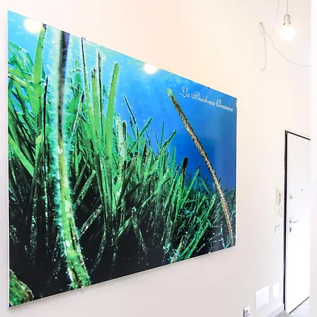 La Posidonia Oceanica-2