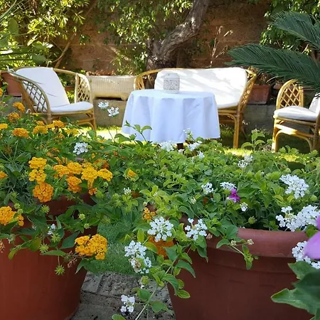 Il Girasole-3