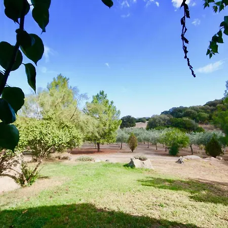 Aia Del Sole-3