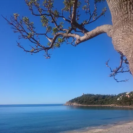 Un Po Di Relax A Pochi Passi Dal Mare!-3