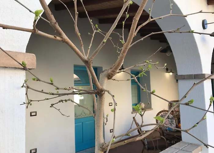 Bed and Breakfast Centu Concas Muravera