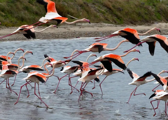 Bed and Breakfast Casa Isotta Quartu SantʼElena