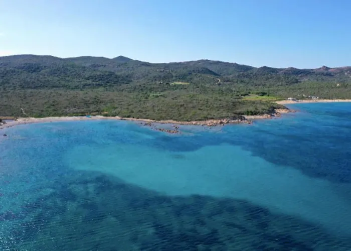 Celeste Central Apartment In Porto Rotondo With Private Parking acceptant les animaux