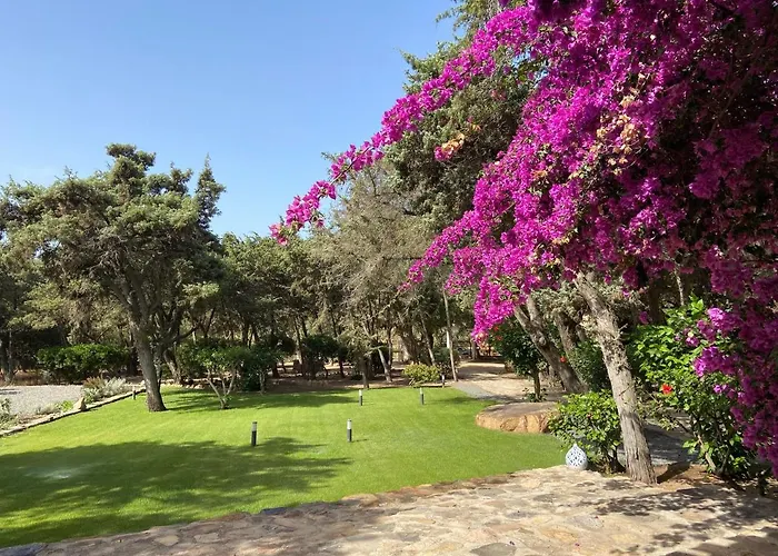Villa Zinnibiri Villasimius