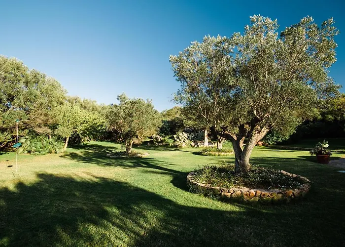 Esclusiva Villa Con Piscina Porto Rotondo avec Piscine