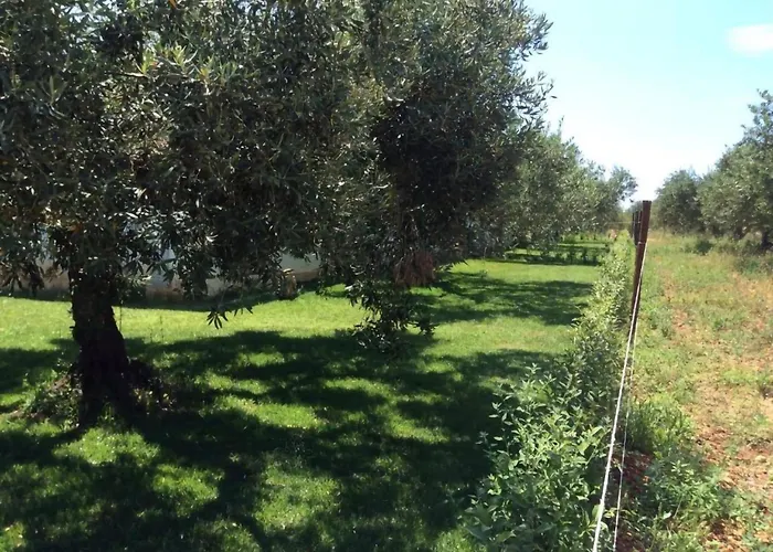 Residence con piscina Piricone Orosei