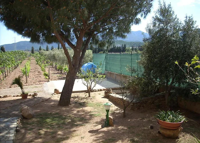 B&B Il Vigneto Capoterra