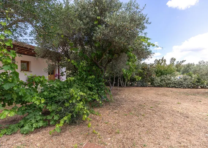 Casa Giulia - vacanze a Olbia