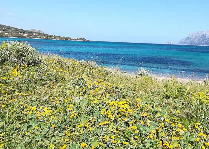 Hotel Al Lungomare Olbia