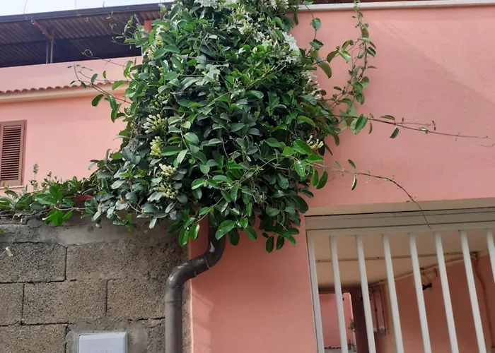 Bed and Breakfast L'Agrifoglio di Emy Guspini