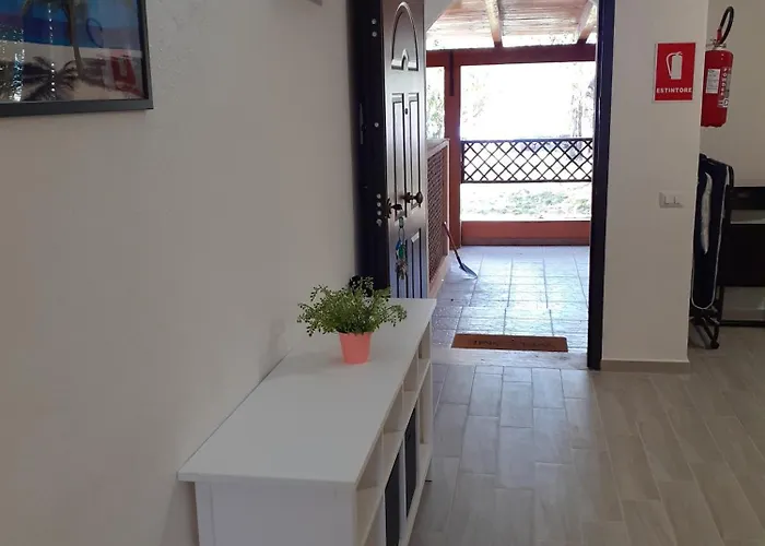 Casa Vacanze Fronte Piscina-Mare - Porto Rotondo acceptant les animaux