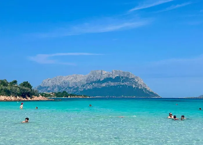 Huisdiervriedelijke Olbia Conad 2 Appartement