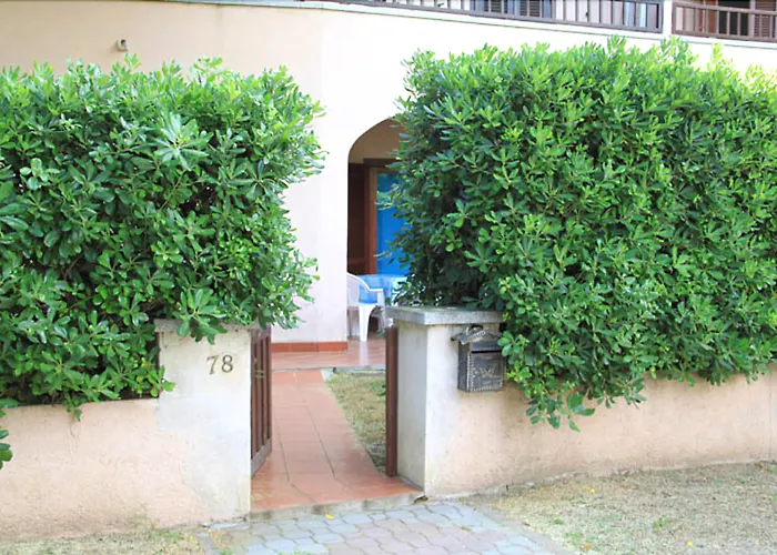 Vecchio Ulivo Puntocasabudoni San Teodoro 
