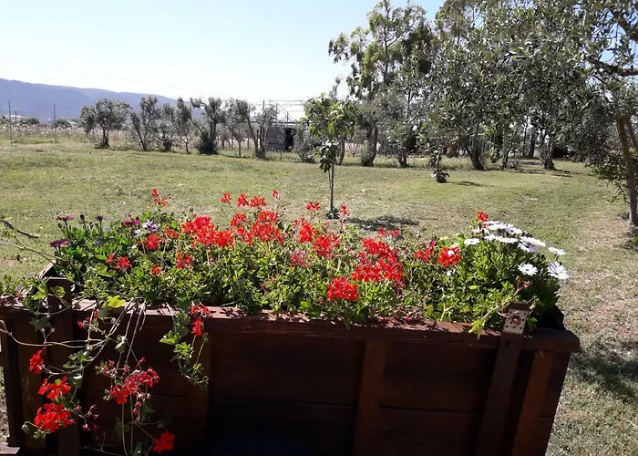 B & B Country House Capoterra