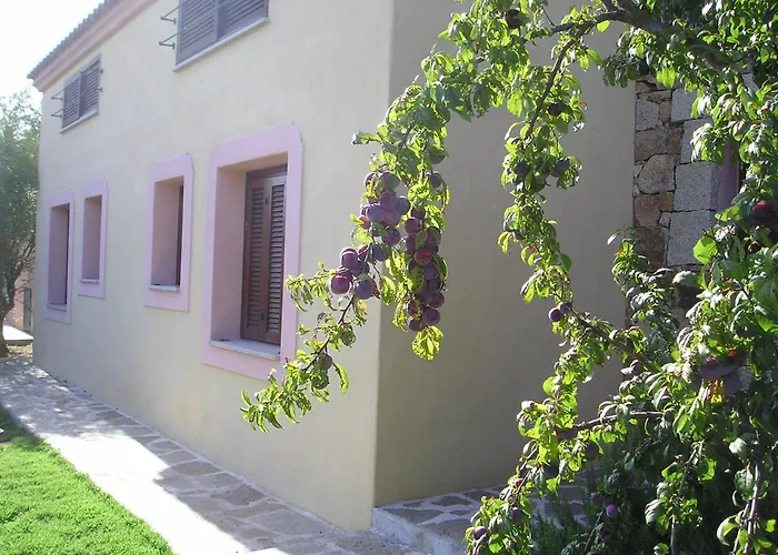Aparthotel Domenique Budoni