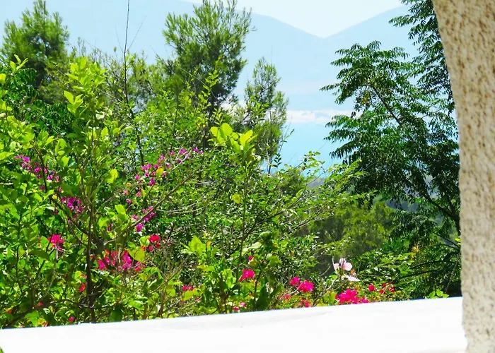 Panohome Porto Pino